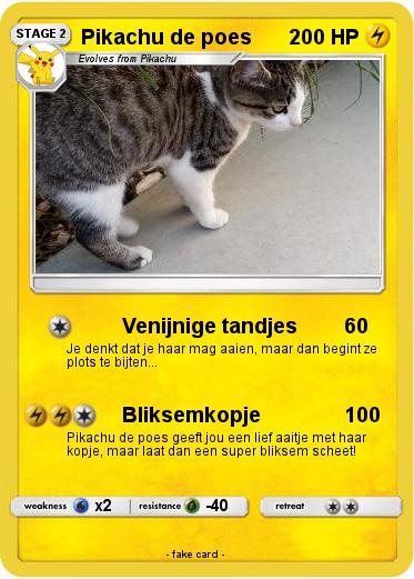 Pokemon Pikachu de poes