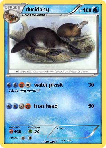 Pokemon ducklong