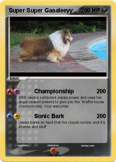 Pokemon Super Super Gaaaleeyy