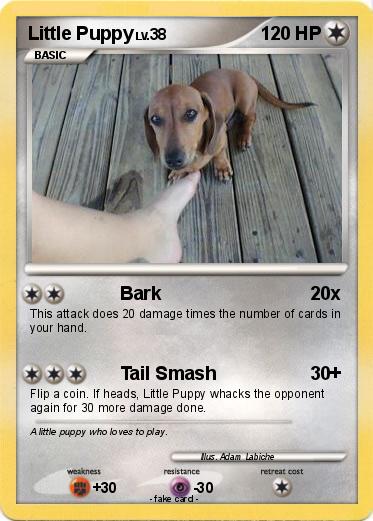 Pokemon Little Puppy