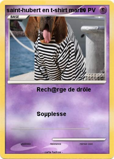 Pokemon saint-hubert en t-shirt marin