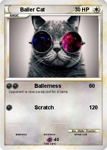 Pokemon Baller Cat