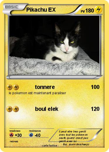 Pokemon Pikachu EX