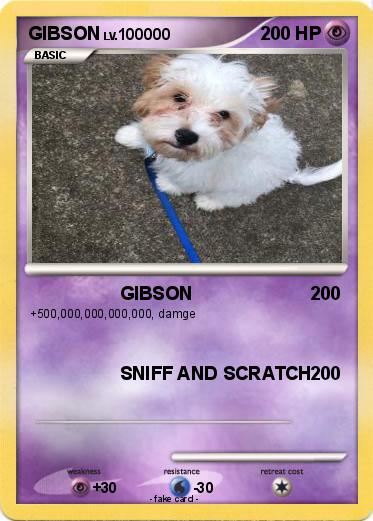 Pokemon GIBSON