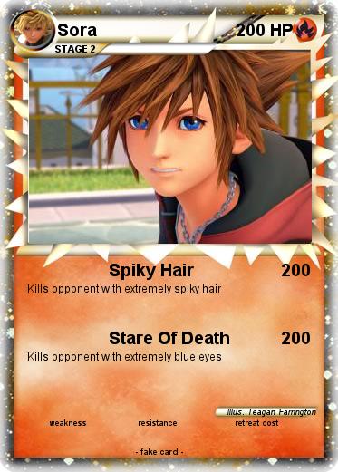 Pokemon Sora
