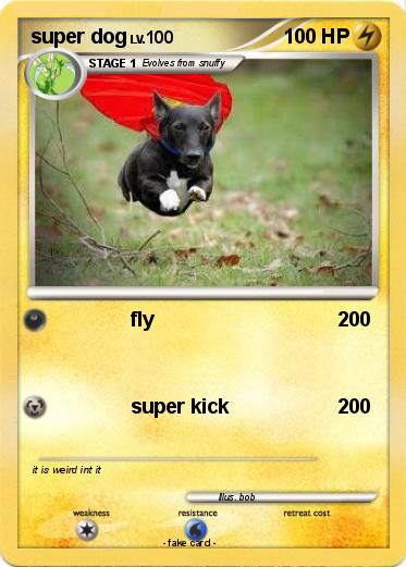 Pokemon super dog