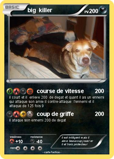 Pokemon big  killer