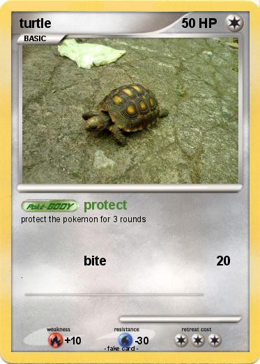 Pokemon turtle