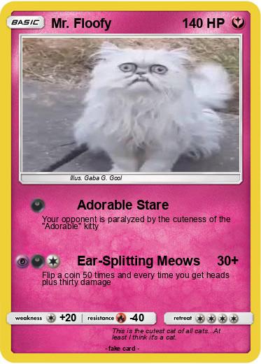 Pokemon Mr. Floofy