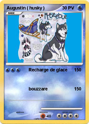 Pokemon Augustin ( husky )