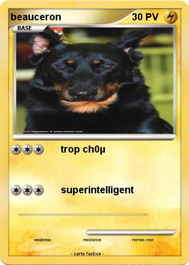 Pokemon beauceron