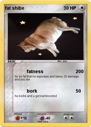 Pokemon fat shibe