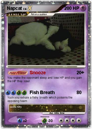 Pokemon Napcat