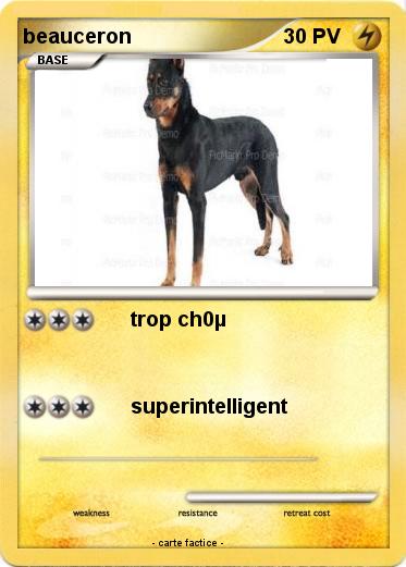 Pokemon beauceron