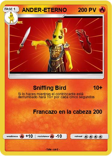 Pokemon ANDER-ETERNO