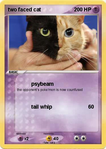 Pokemon two faced cat