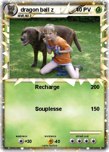 Pokemon dragon ball z