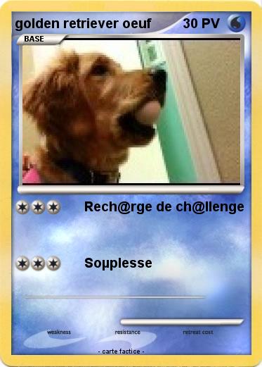 Pokemon golden retriever oeuf