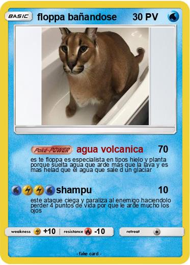 Pokemon floppa bañandose