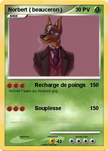 Pokemon Norbert ( beauceron )