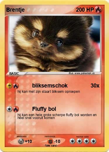 Pokemon Brentje