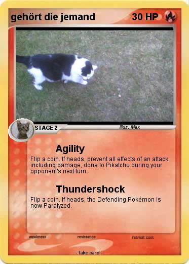 Pokemon gehört die jemand