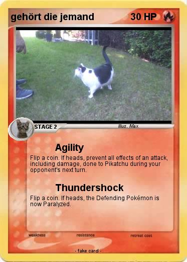 Pokemon gehört die jemand