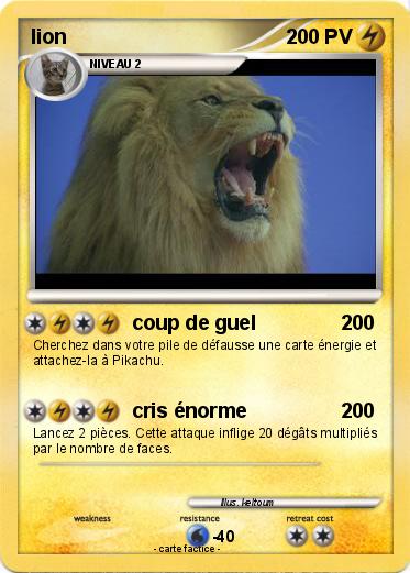 Pokemon lion