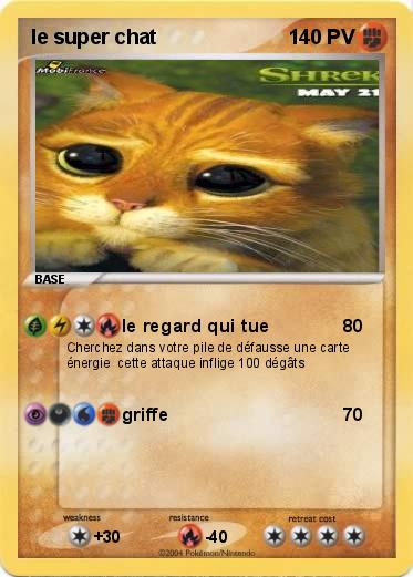 Pokemon le super chat