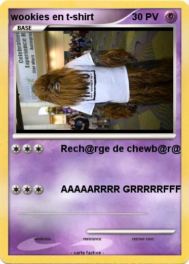 Pokemon wookies en t-shirt
