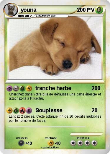 Pokemon youna