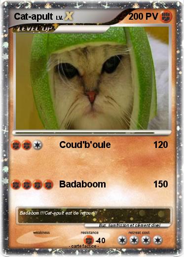 Pokemon Cat-apult