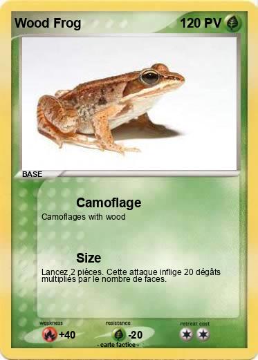 Pokemon Wood Frog