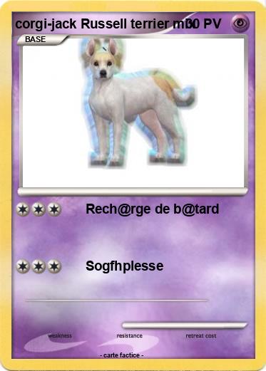 Pokemon corgi-jack Russell terrier mix