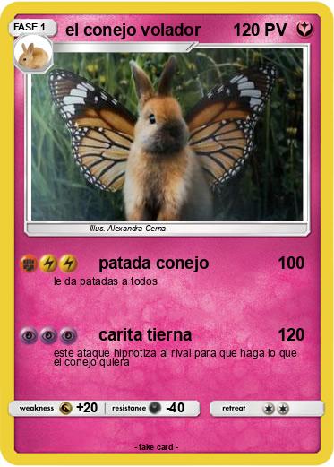 Pokemon el conejo volador