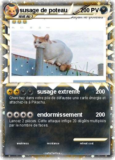 Pokemon susage de poteau