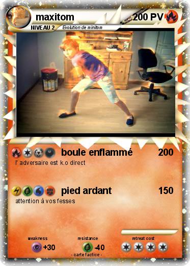 Pokemon maxitom