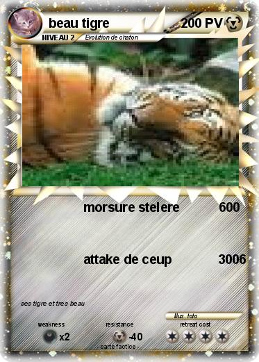 Pokemon beau tigre