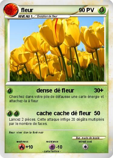 Pokemon fleur