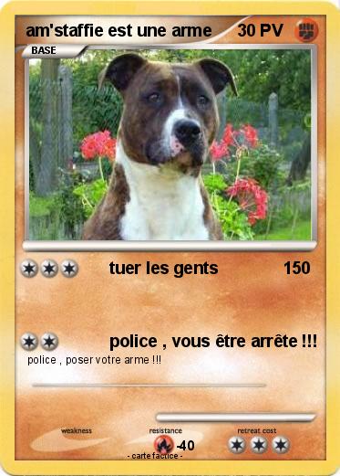 Pokemon am'staffie est une arme
