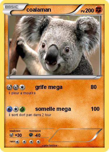 Pokemon coalaman