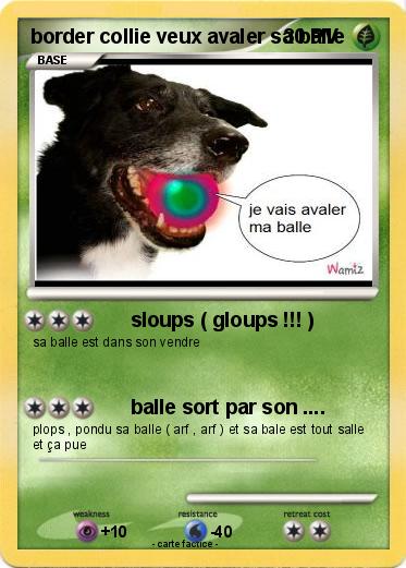 Pokemon border collie veux avaler sa balle