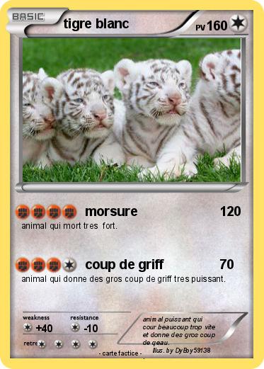 Pokemon tigre blanc