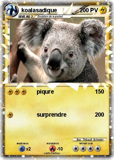 Pokemon koalasadique