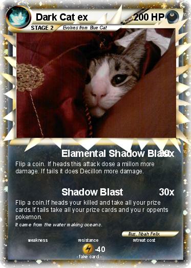 Pokemon Dark Cat ex