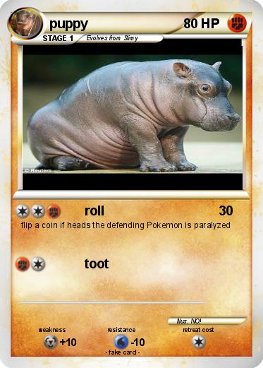 Pokemon puppy