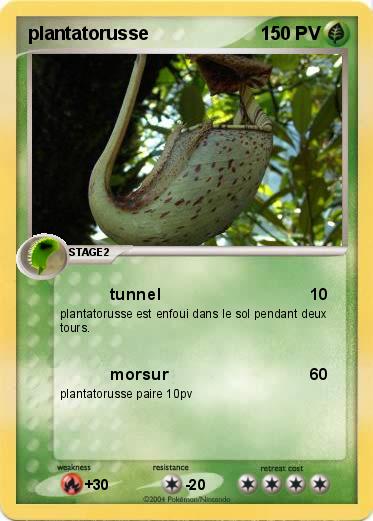 Pokemon plantatorusse