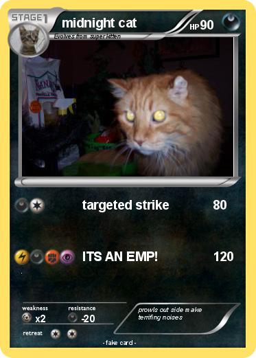 Pokemon midnight cat