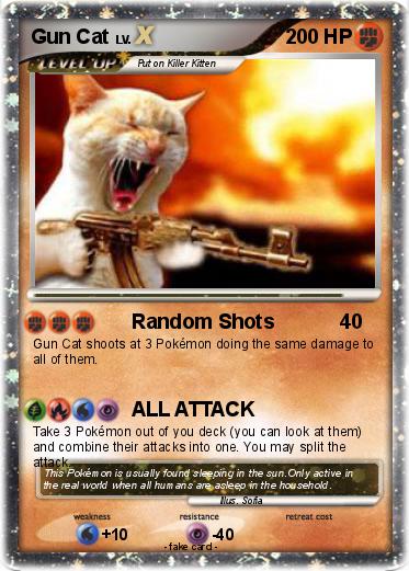 Pokemon Gun Cat