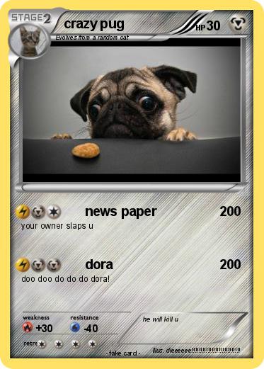 Pokemon crazy pug